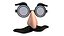 Disguise Glasses