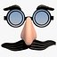 Disguise Glasses