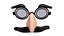 Disguise Glasses