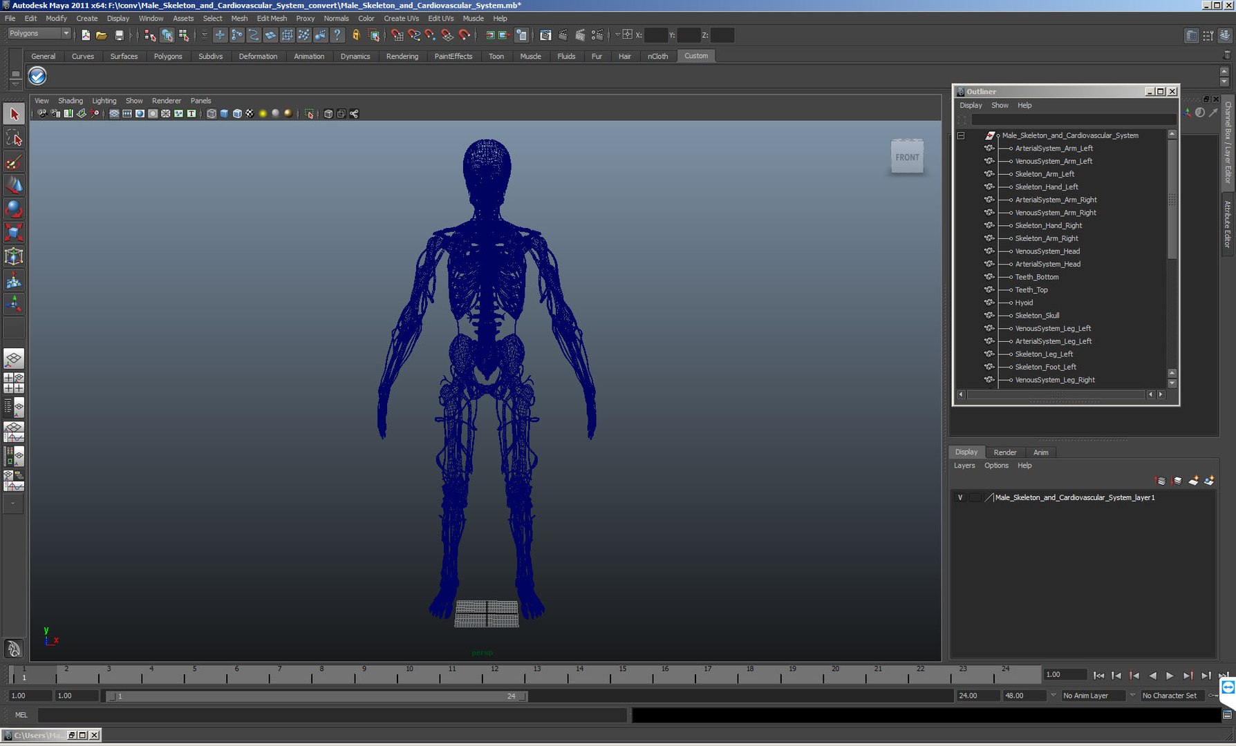 3D male skeleton cardiovascular model https://p.turbosquid.com/ts-thumb/Dc/klAjYl/QU0qBa4t/maleskeletonandcardiovascularsystemc4dmodel049/jpg/1574796466/1920x1080/fit_q87/7ef45a7bcd2731aaf7779b081317df3eb753eb01/maleskeletonandcardiovascularsystemc4dmodel049.jpg