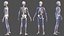 Scheletro maschile e sistema cardiovascolare
