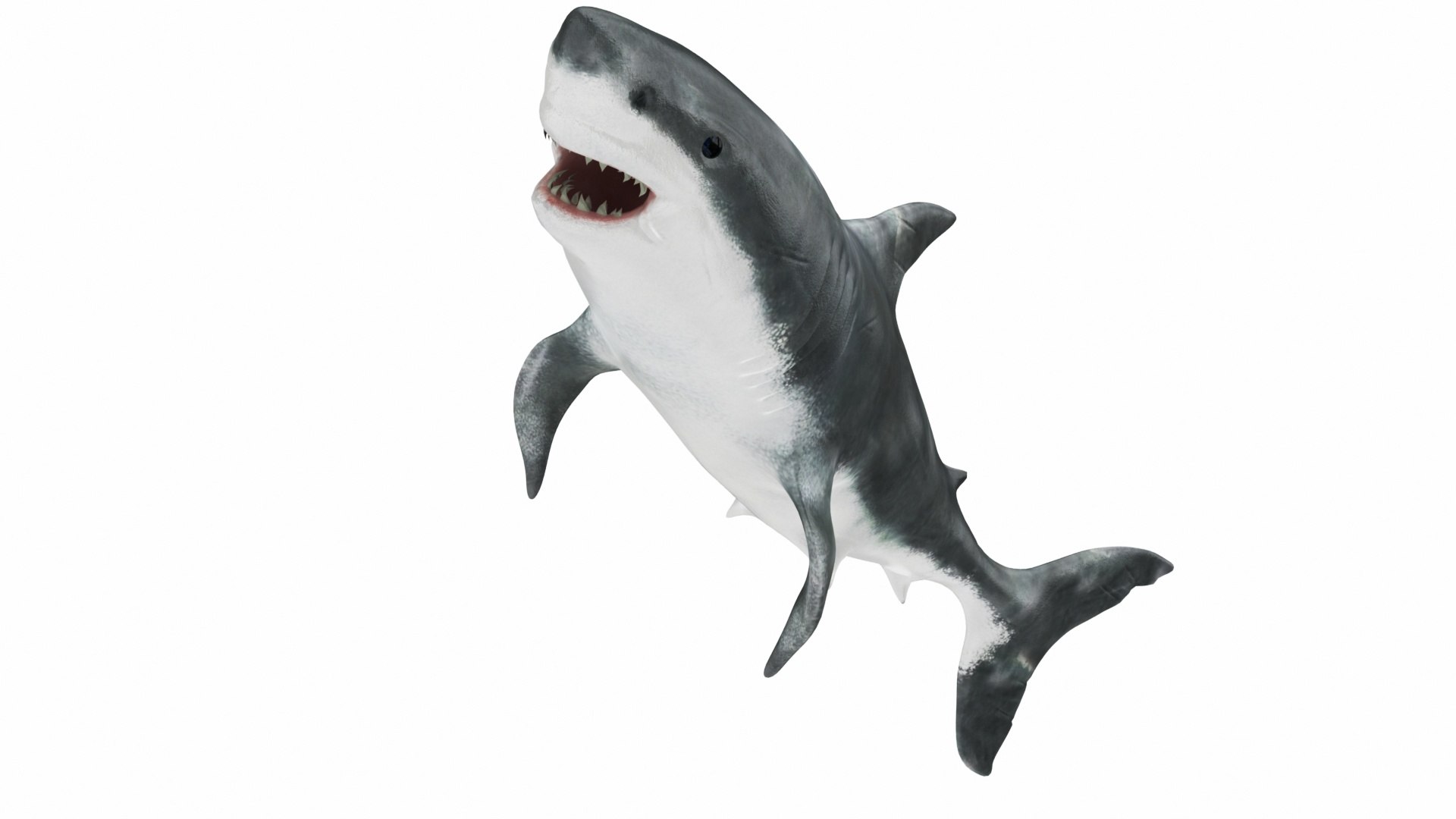3D Underwater Animals Big Collection 34 in 1 model https://p.turbosquid.com/ts-thumb/Dc/nEPPE3/V9T8Bu8K/03/jpg/1662556346/1920x1080/fit_q87/6e969b1614243896b05d467348b5d7effd51282a/03.jpg