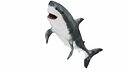Realistic Shark Rigged Animated