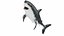 Underwater Animals Big Collection 34 in 1