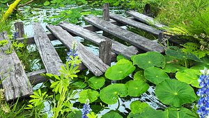 Nature Landscape -  Full Model Sketchup - V-ray Render