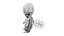 Fetus Anatomy Week 12 Static