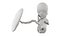 Fetus Anatomy Week 12 Static