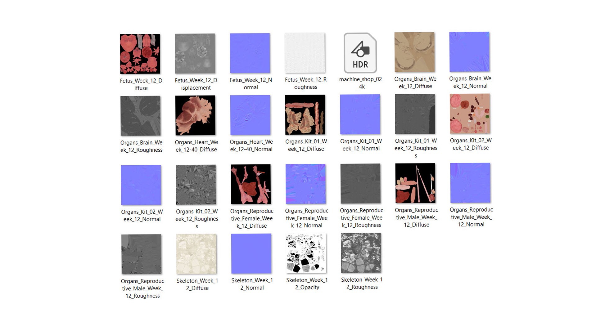 Fetus Anatomy Week 12 Static model https://p.turbosquid.com/ts-thumb/Dc/zmbwPv/WJ/texture_week_12/jpg/1636977026/1920x1080/fit_q87/70b6ebf67ec5ab04a69f159176e18121cf6bc9da/texture_week_12.jpg