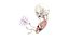 Fetus Anatomy Week 12 Static