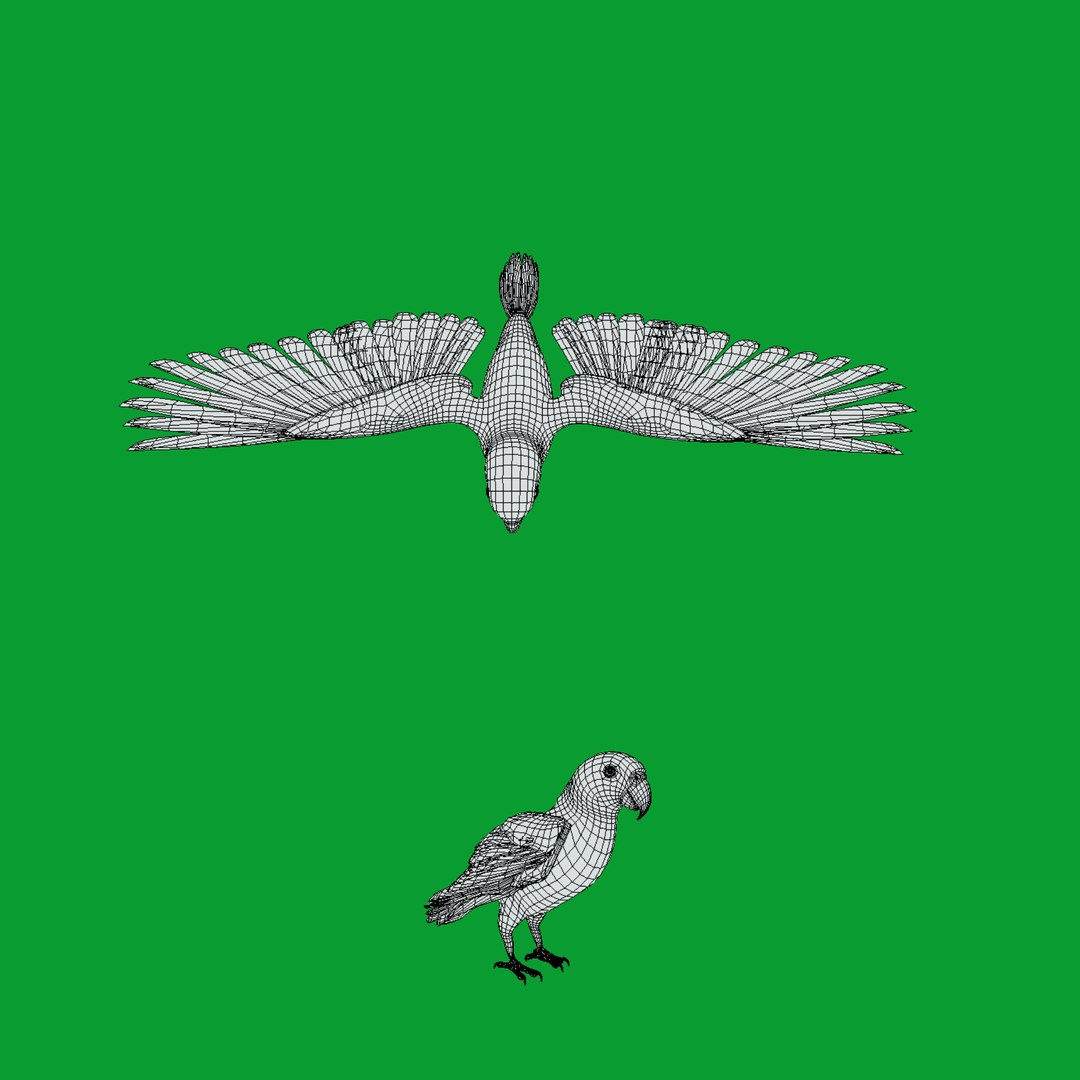 3D Yellow Thighed Parrot Bird https://p.turbosquid.com/ts-thumb/Dd/C7Qcz5/AW/wire/png/1750108198/1920x1080/fit_q87/ea91e0c534a31843062793f0a7df0e8aeb870837/wire.jpg