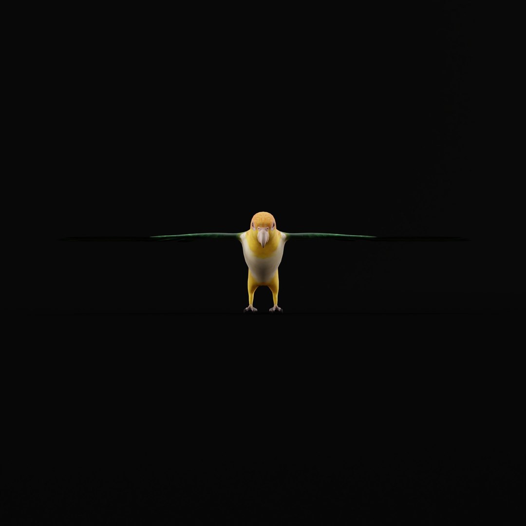 3D Yellow Thighed Parrot Bird https://p.turbosquid.com/ts-thumb/Dd/C7Qcz5/Vf/yellowthighedparrotbirdao_0001/jpg/1750108253/1920x1080/fit_q87/57d961fe135368bce4d672423dba20d11c3208a5/yellowthighedparrotbirdao_0001.jpg