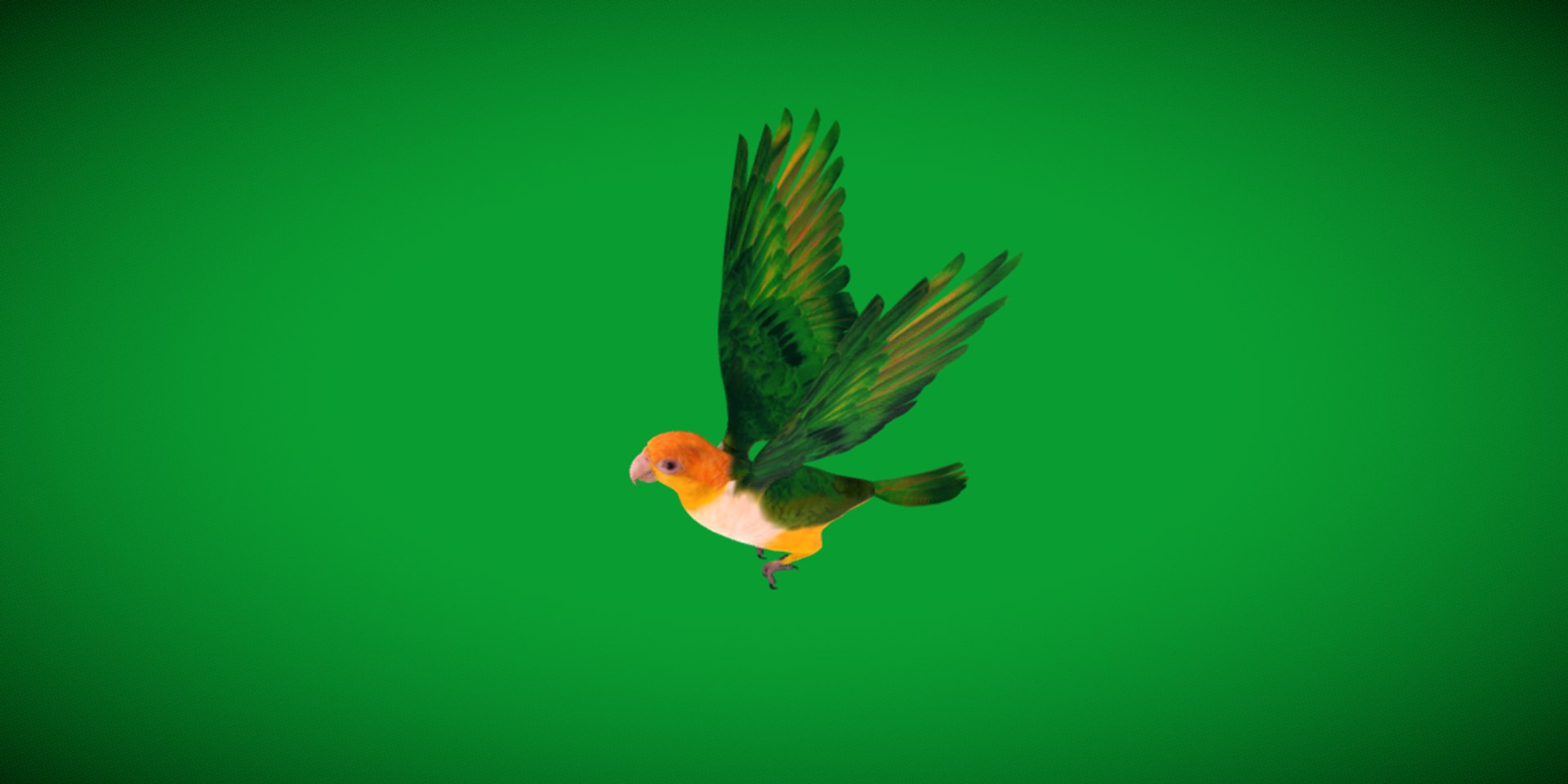 3D Yellow Thighed Parrot Bird https://p.turbosquid.com/ts-thumb/Dd/C7Qcz5/pc/yellow_thighed_parrots36/png/1750108249/1920x1080/fit_q87/d95395ca3b308a9070aa59ec77321920b4420672/yellow_thighed_parrots36.jpg