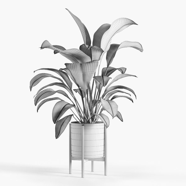 3D plant - TurboSquid 1159913