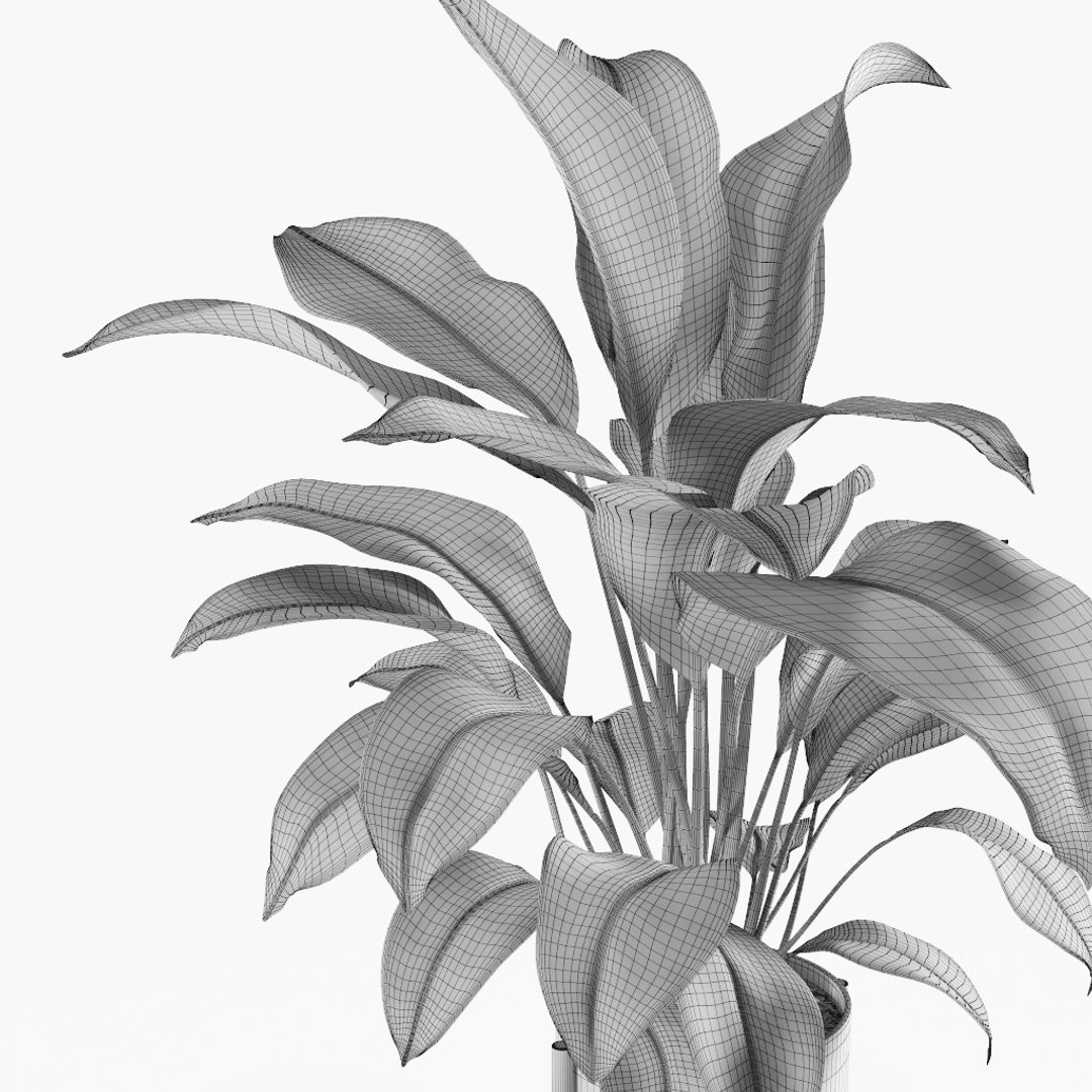 3D plant https://p.turbosquid.com/ts-thumb/Dd/FOo1ME/kuhredaX/preview11/jpg/1495540368/1920x1080/fit_q87/46f94648dd5a4c94ee54200beb082b7faae91055/preview11.jpg