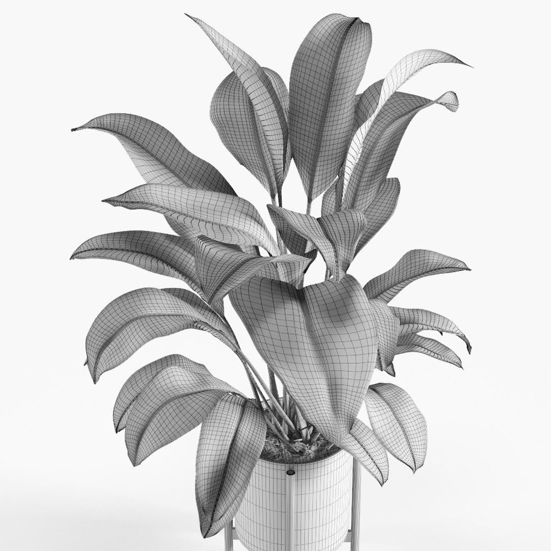 3D plant https://p.turbosquid.com/ts-thumb/Dd/FOo1ME/rAS1bGdk/preview9/jpg/1495540368/1920x1080/fit_q87/4028090bad28e50c0de57750af9b2cf258ace9cf/preview9.jpg