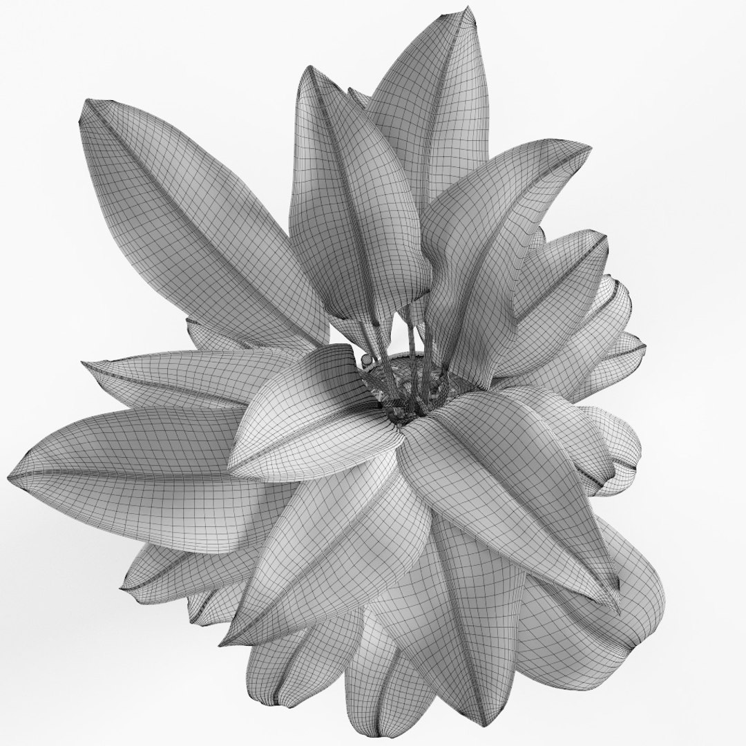 3D plant https://p.turbosquid.com/ts-thumb/Dd/FOo1ME/xgkl3y6a/preview12/jpg/1495540368/1920x1080/fit_q87/d129ddb8abd189555cd7e74abf78c129f65e0819/preview12.jpg