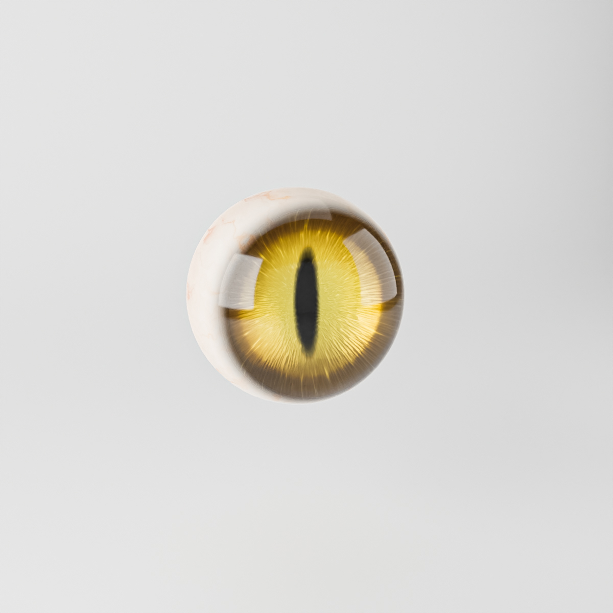 3D Cat Eye model - TurboSquid 1866904