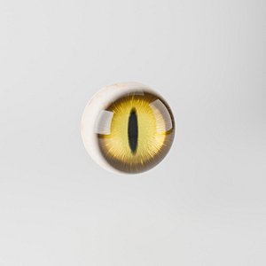 Cat Eye