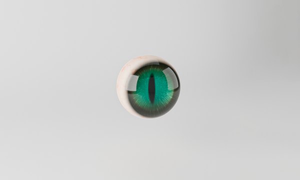 3D Cat Eye model - TurboSquid 1866904