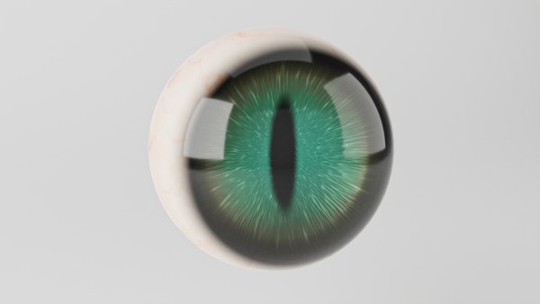 3D Cat Eye model - TurboSquid 1866904