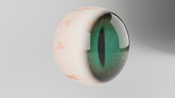 3D Cat Eye model - TurboSquid 1866904