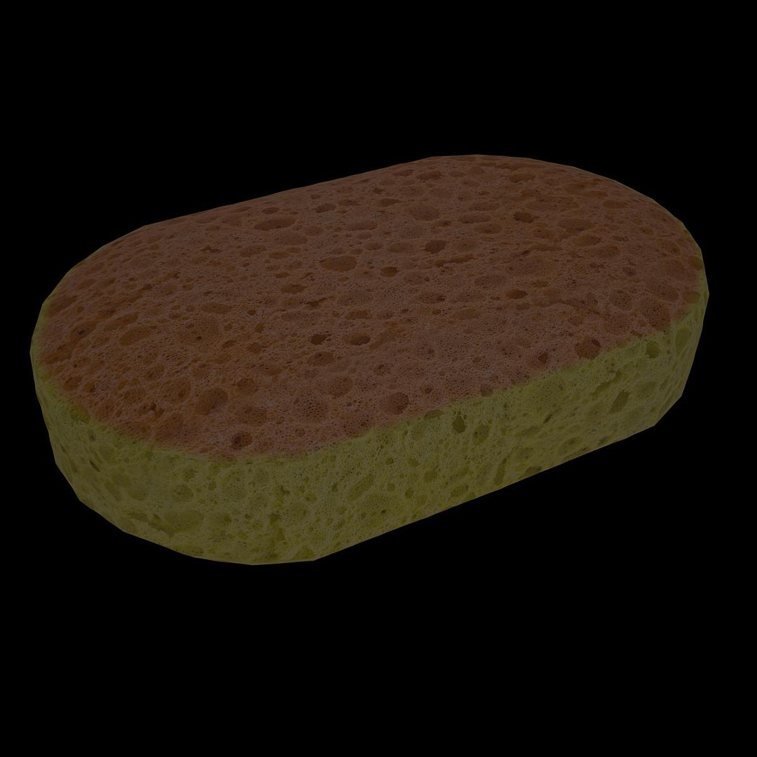 3d Model Bathroom Sponge 1