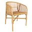 JAKARTA RATTAN DINING CHAIR