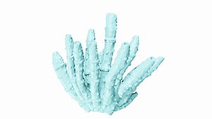 3D Reef model
