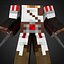 Assasins minecraft rigs
