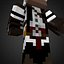 Assasins minecraft rigs