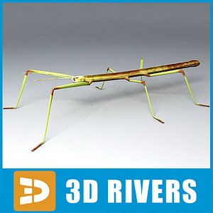 obj stick insect
