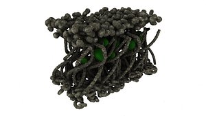3d lichen