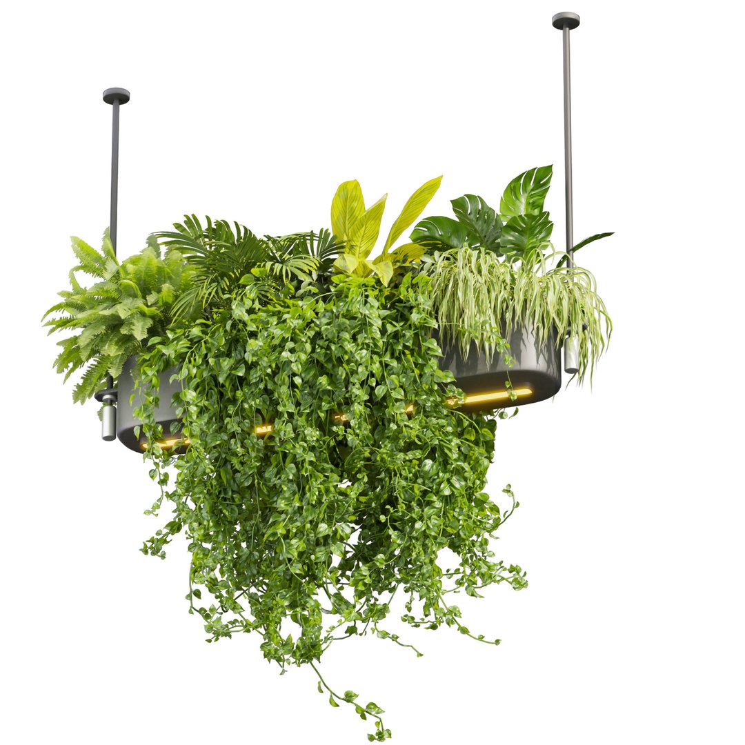 Collection plant vol 510 - ampelous - hanging - monstera - chandelier ...