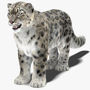 3D model snow leopard furry animal hair