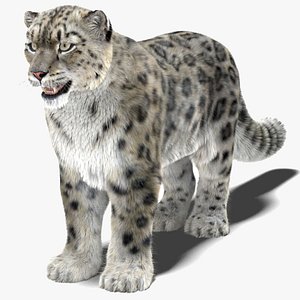 Snow Leopard 3 Fur