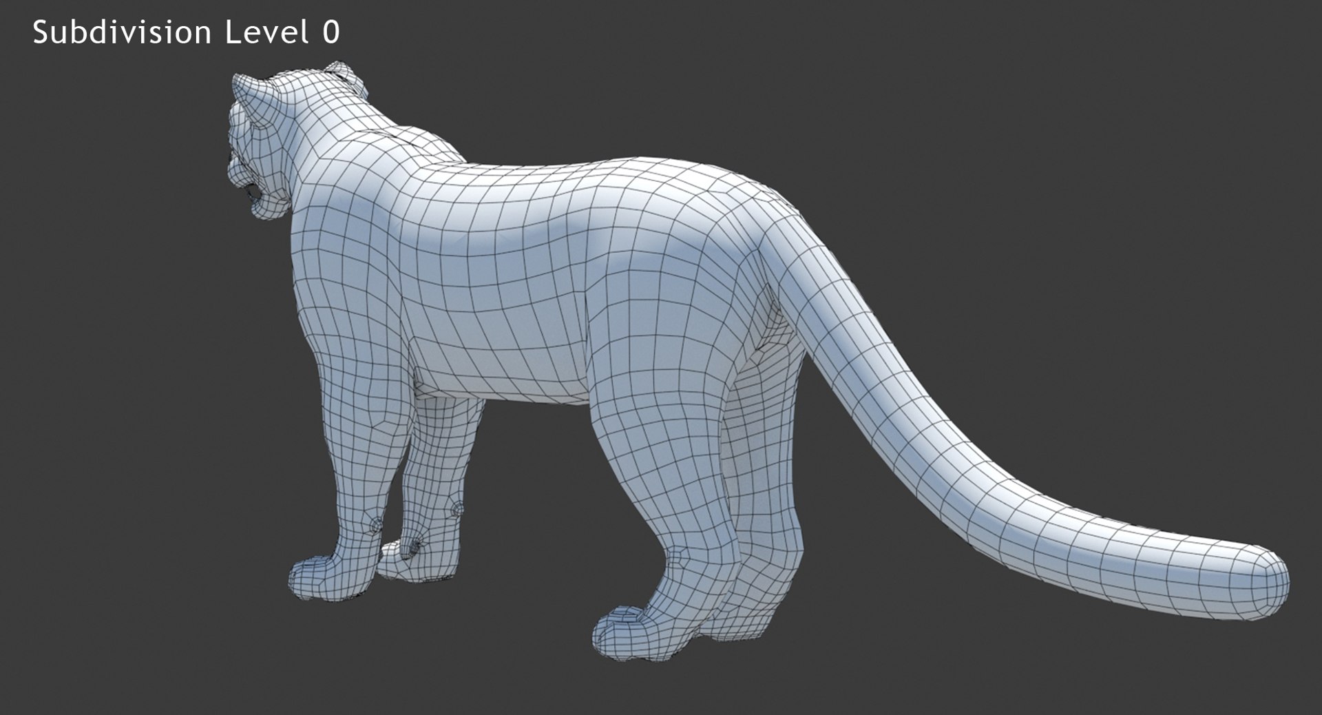 3D model snow leopard furry animal hair https://p.turbosquid.com/ts-thumb/Dd/meM5gd/TwwO4rNx/snow_leopard_wireframe_3d_model03/jpg/1564733542/1920x1080/fit_q87/a6de9e180c4ad79bc820f98f1c4b6aba0838aa95/snow_leopard_wireframe_3d_model03.jpg