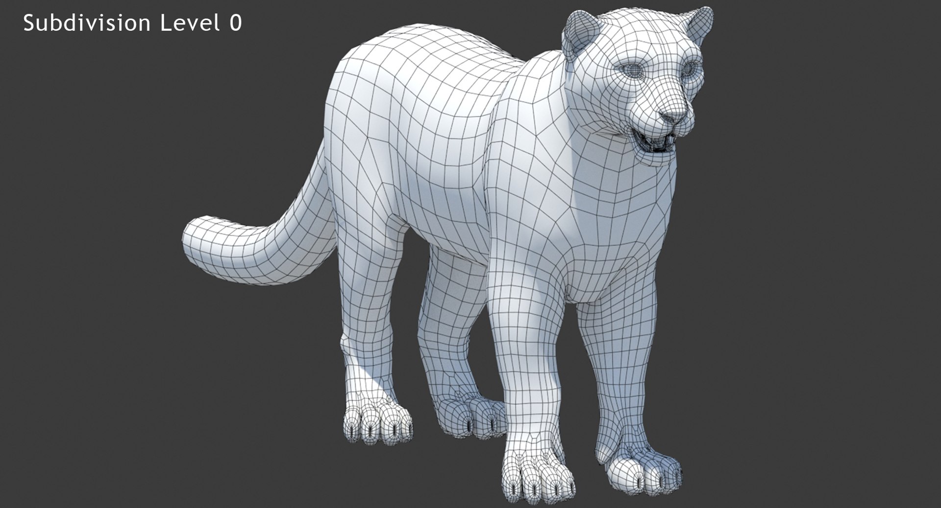 3D model snow leopard furry animal hair https://p.turbosquid.com/ts-thumb/Dd/meM5gd/zCJBhHb3/snow_leopard_wireframe_3d_model01/jpg/1564733542/1920x1080/fit_q87/7f03848d90eda16760b8aeae092aca96b9e8a2a2/snow_leopard_wireframe_3d_model01.jpg