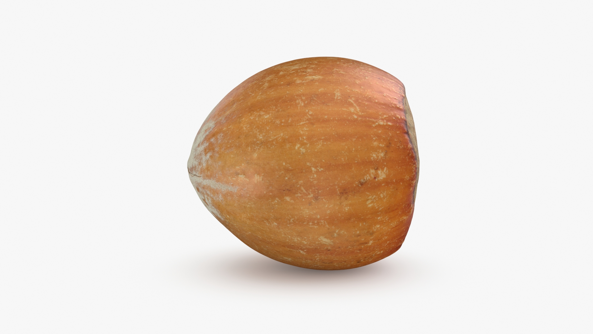 Hazelnut In Shell 03 Model - TurboSquid 2290447