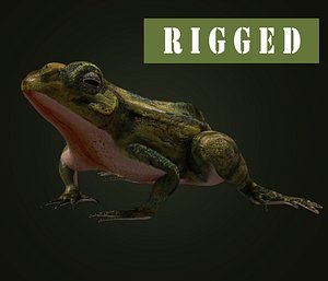 Frog_Rigged