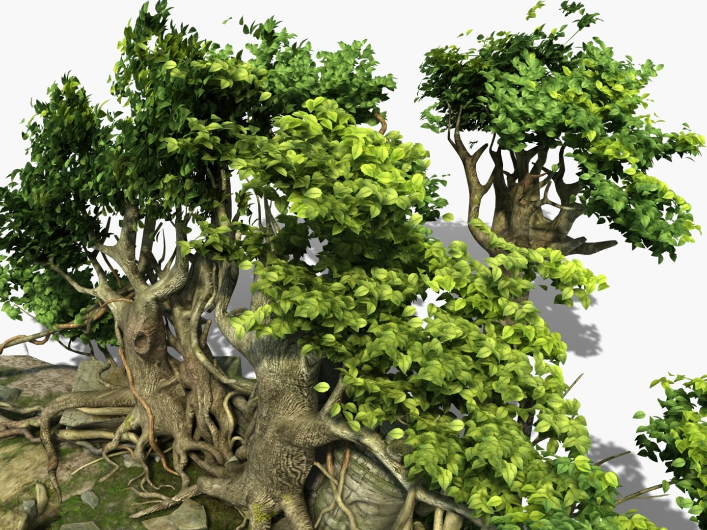 Temple Ruins Tree 3D model - TurboSquid 1965745