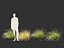 Chionochloa rubra - 붉은 풀풀 02