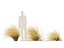 Chionochloa rubra - 붉은 풀풀 02