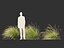 Chionochloa rubra - 붉은 풀풀 02