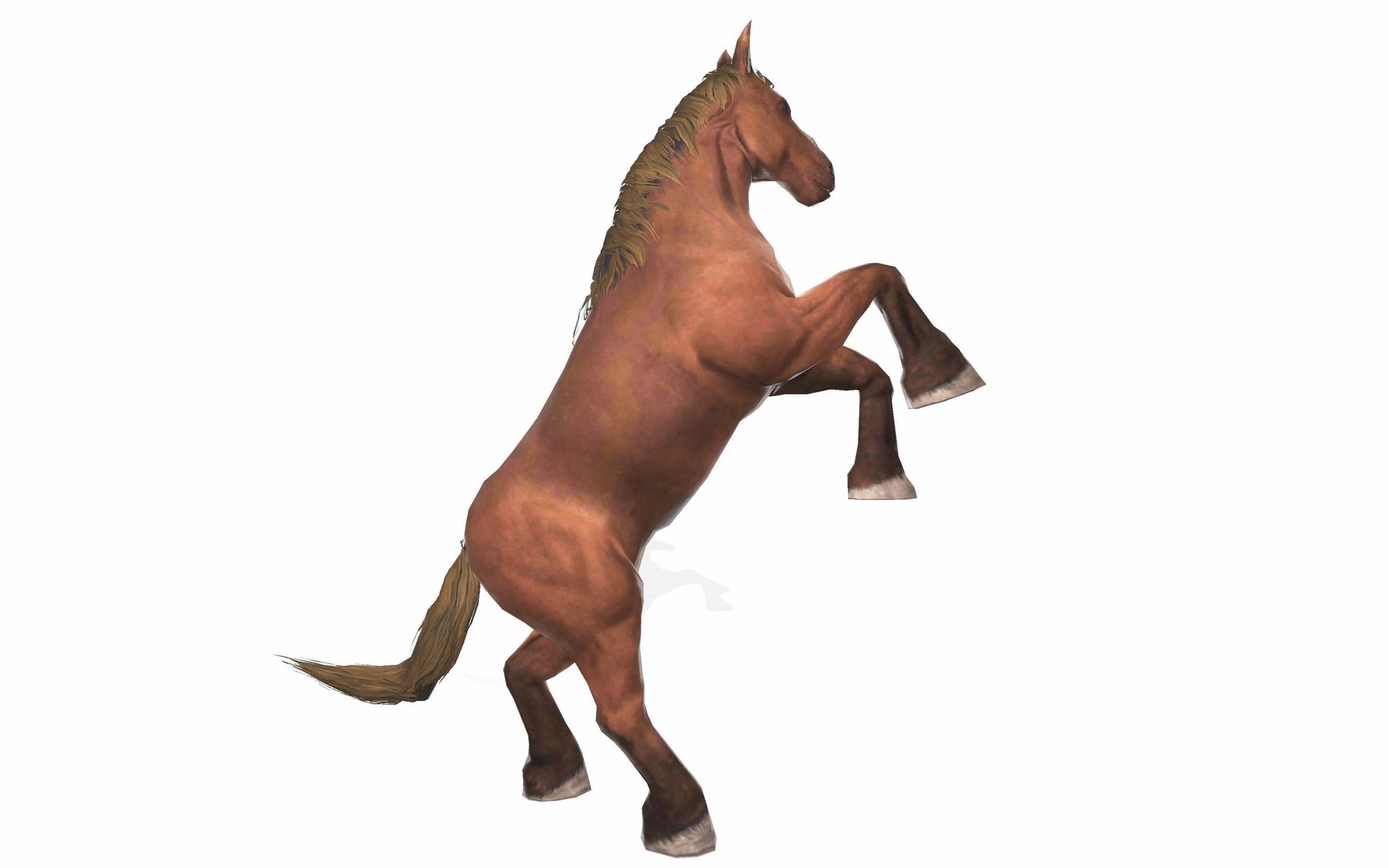 3D realistic animal horse https://p.turbosquid.com/ts-thumb/De/CNL7tz/vtNSjW2C/7/jpg/1583139931/1920x1080/fit_q87/f35e8467060d752f1b15e6ba81c031c4120dc409/7.jpg