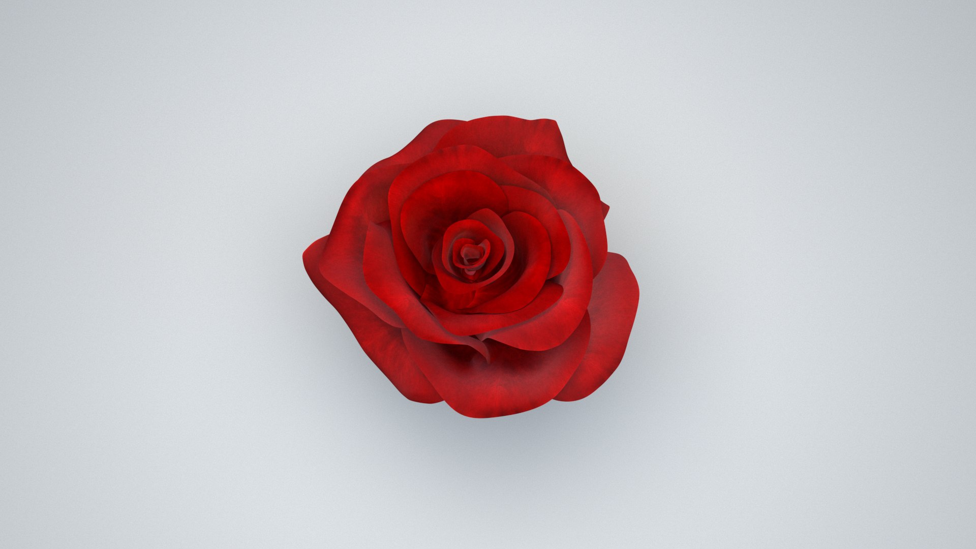 Rose Rigged 3D model https://p.turbosquid.com/ts-thumb/De/E8gjrR/CC/rose_07/jpg/1647100362/1920x1080/fit_q87/a3cd5679579ff7b513001990ebeceaba3c354c71/rose_07.jpg