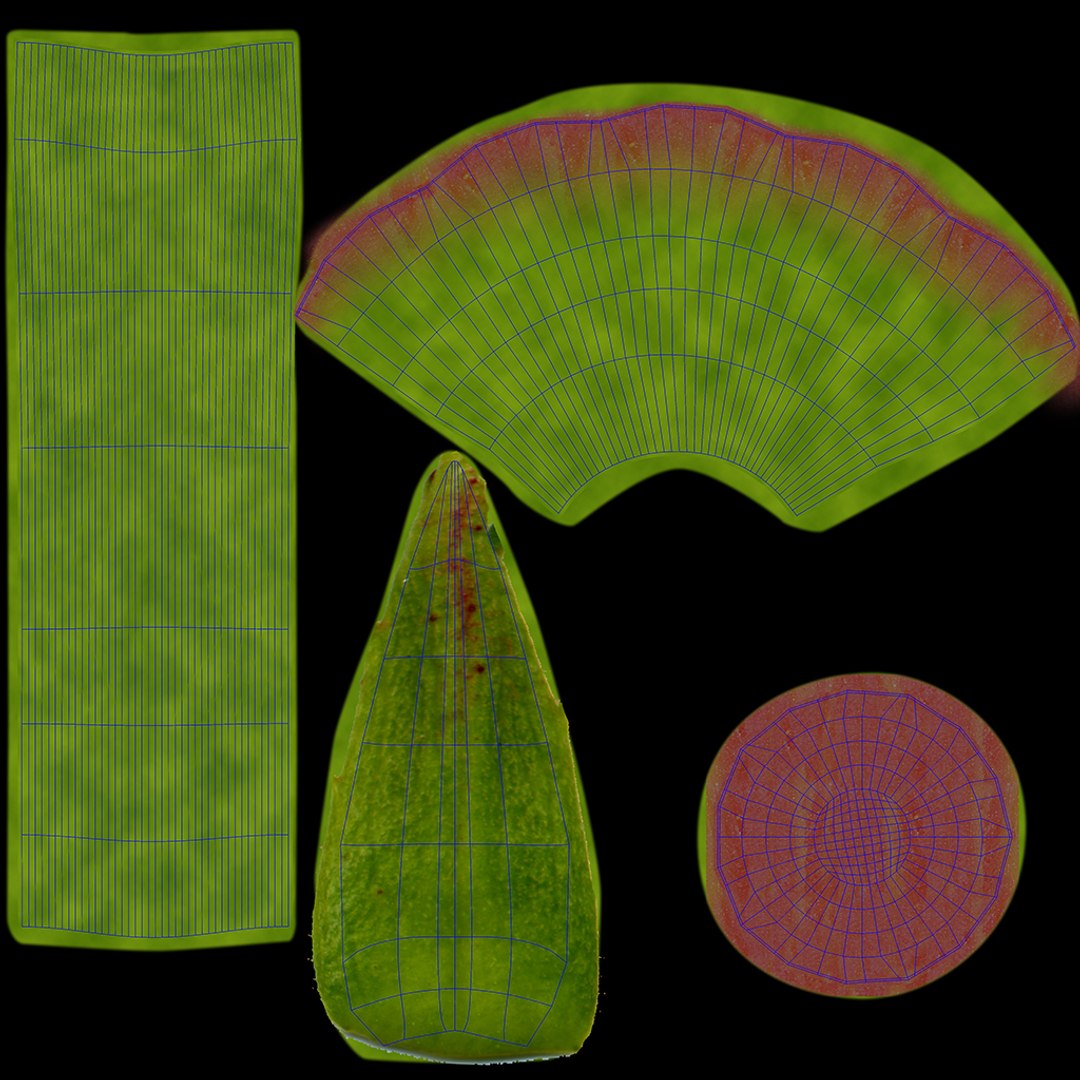 Rose Rigged 3D model https://p.turbosquid.com/ts-thumb/De/E8gjrR/L3/twigleaf_uv/jpg/1645091571/1920x1080/fit_q87/ed7fdf99072aff7e11a763b703dfb1355774dfe8/twigleaf_uv.jpg