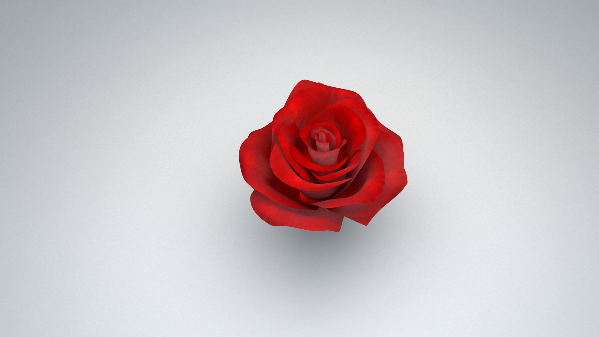 Rose Rigged 3D model https://p.turbosquid.com/ts-thumb/De/E8gjrR/WY/rose_03/jpg/1647100347/1920x1080/fit_q87/036f4dba39aaf75f625f4e1794611f689388269a/rose_03.jpg