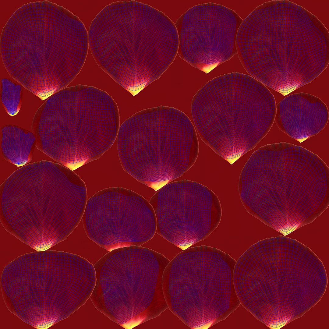 Rose Rigged 3D model https://p.turbosquid.com/ts-thumb/De/E8gjrR/Y8/flower_uv/jpg/1645091602/1920x1080/fit_q87/6eeee185634521cb03e246b189efe2bf0482c5bd/flower_uv.jpg