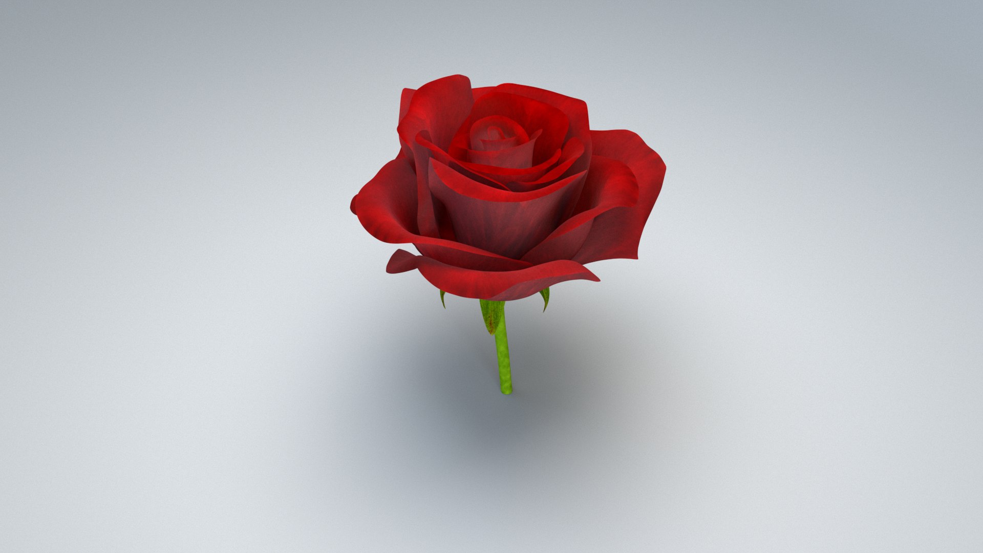 Rose Rigged 3D model https://p.turbosquid.com/ts-thumb/De/E8gjrR/hV/rose_04/jpg/1647100354/1920x1080/fit_q87/756d22a04ddd9b456112b47f15d405038193b68e/rose_04.jpg