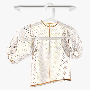 Zara Plumeti Embroided Top on a hanger 3D model